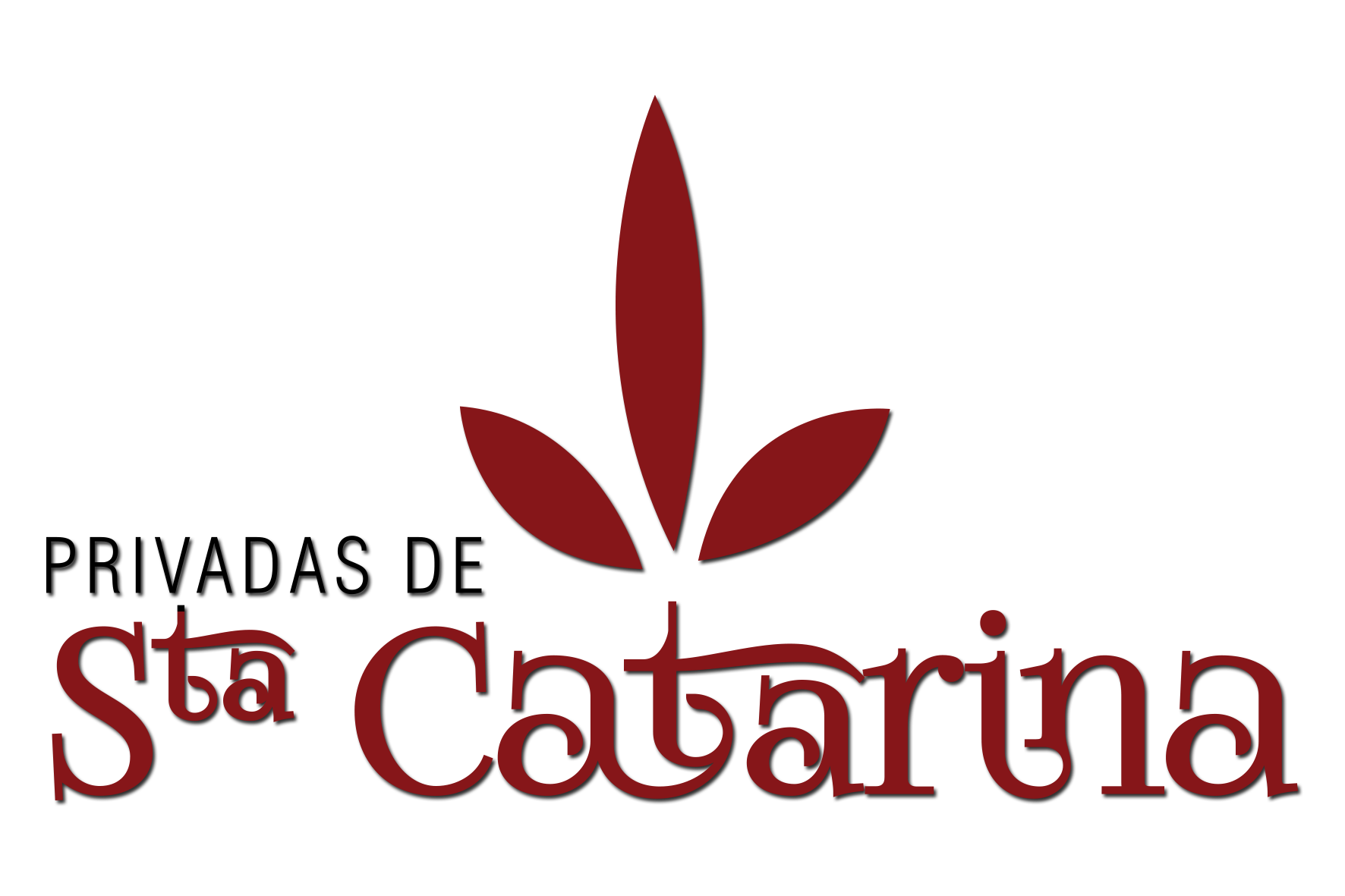 Logo Jacarandas