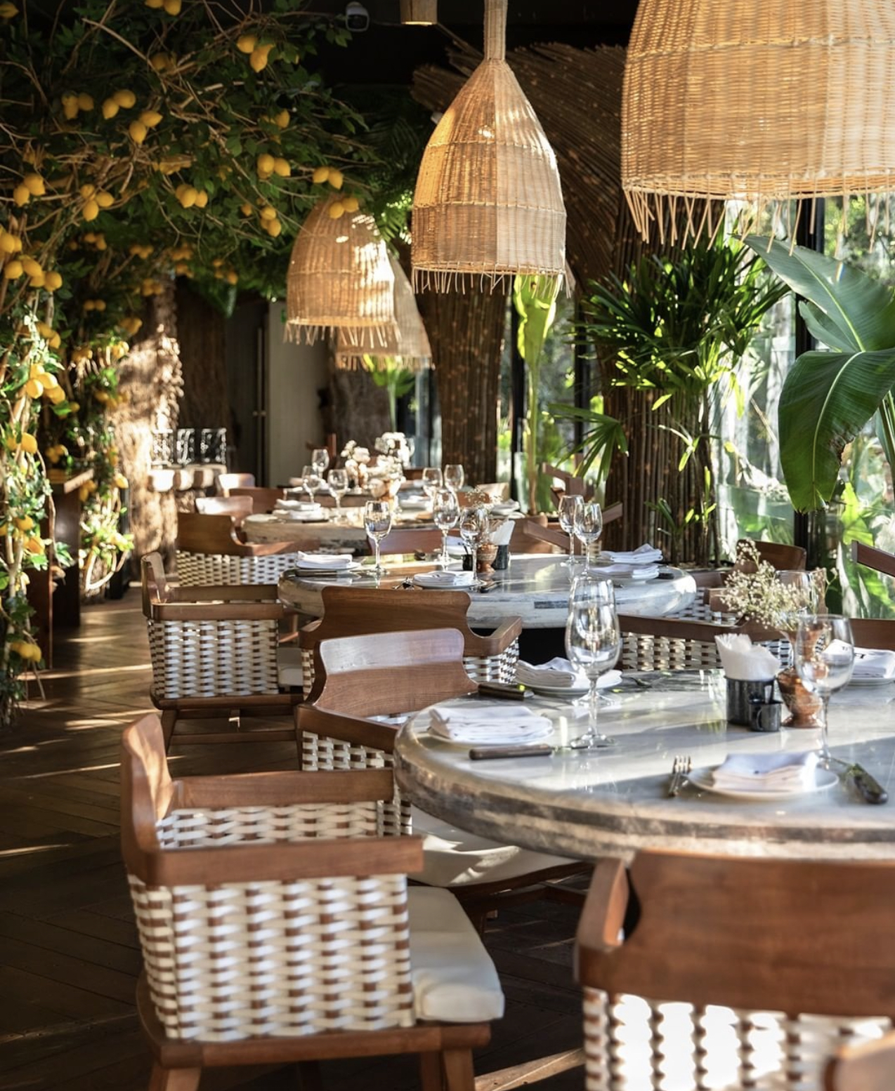 restaurants 6