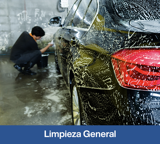 Limpieza General
